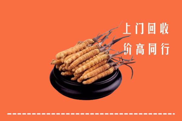 高价求购：太原回收散虫草